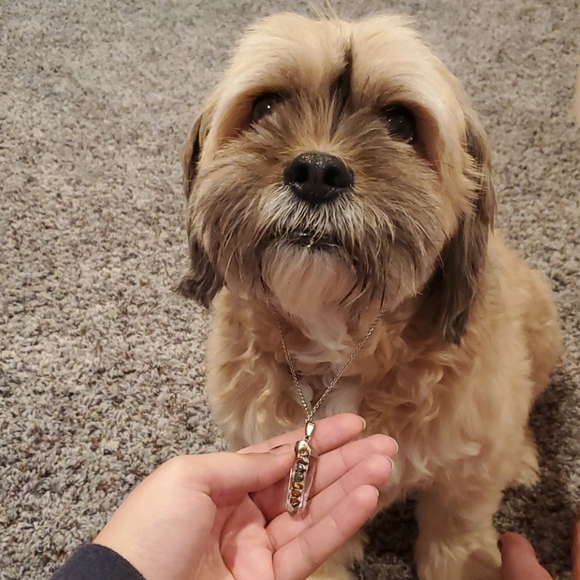 Quartz Crystal Point Chakra Necklace - Picture 2 of 5